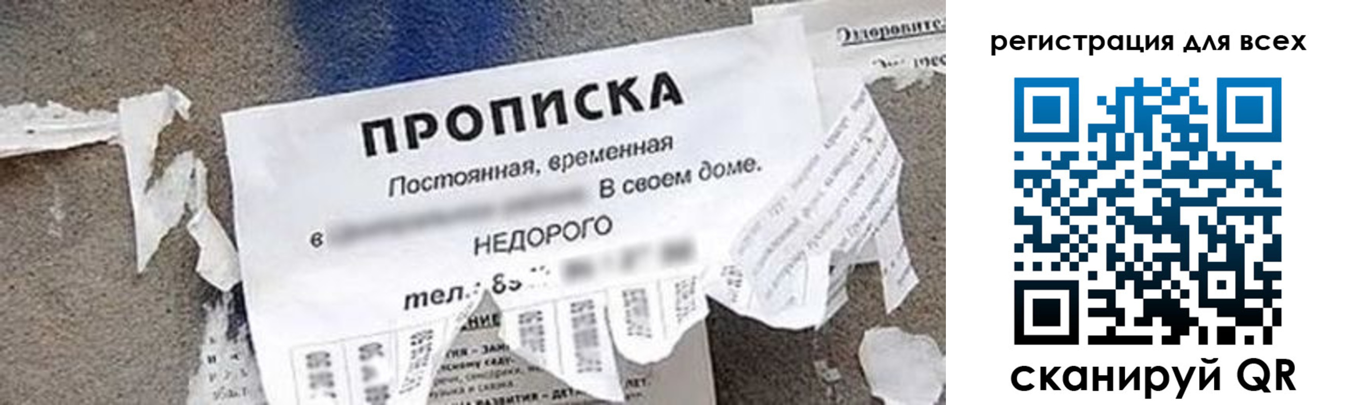 прописка поиск в Чудово
